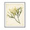 Thumbnail: Watercolour Sea Grass V - Framed & Mounted