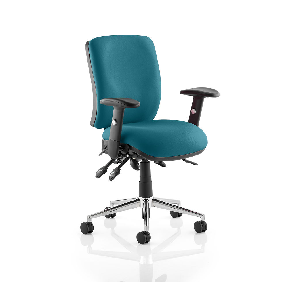 Thumbnail: Chiro Medium Back Bespoke Colour
