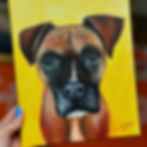 commissioned acrylic and oil pastels painting of a lost pet