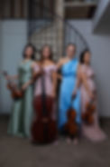 MM_Icon Strings_Oct 2024_8043.jpg