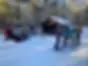 Gourmet Lunch at Trapper’s Cabin