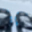 Guided Snowshoe Hike – Treetops Resort