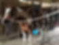 Tack Sale at Jay’s Sporting Goods