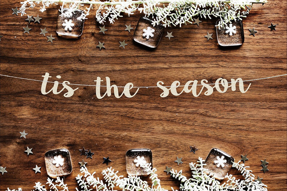 Tis The Season Paint and Sip at Lisa Tavern