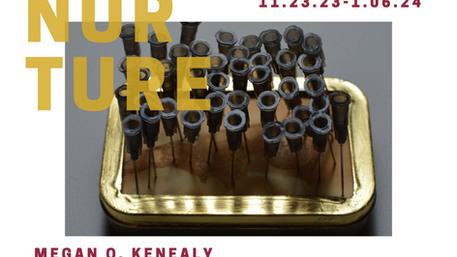 New Art Exhibits at The Ignition Space Explore Altruistic Surrogacy and Future Climate Evolution