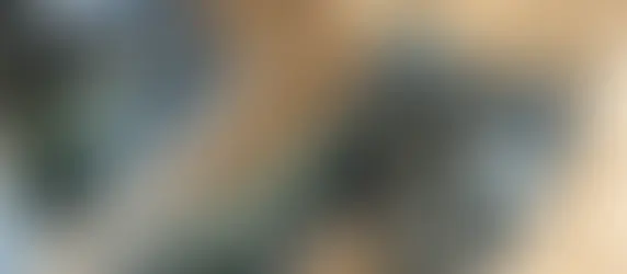 O olhar da Medusa sobre os agentes culturais e os órgãos de controle 