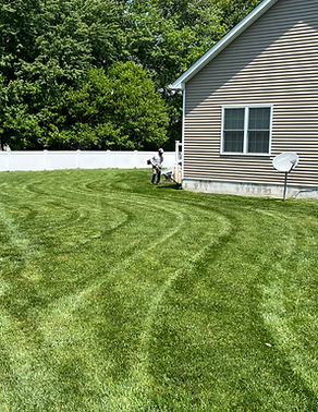 Freshly Cut Grass