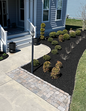 Fresh Mulch and Plants