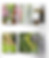 Editorialdesign