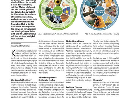Artikel zum Thema Resilienz