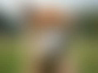 Exploring Alpaca Farms in NSW: A Delightful Escape to Nature