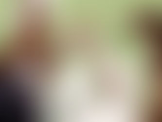 What to Expect When You Feed Alpacas at Iris Lodge