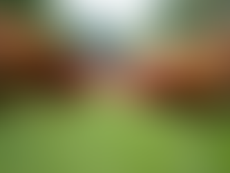 The Importance of Ethical Animal Farming: A Path to a Better Future