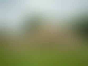 Visiting Irislodgealpacas in Jilliby