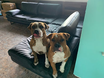 Chloe and Cali