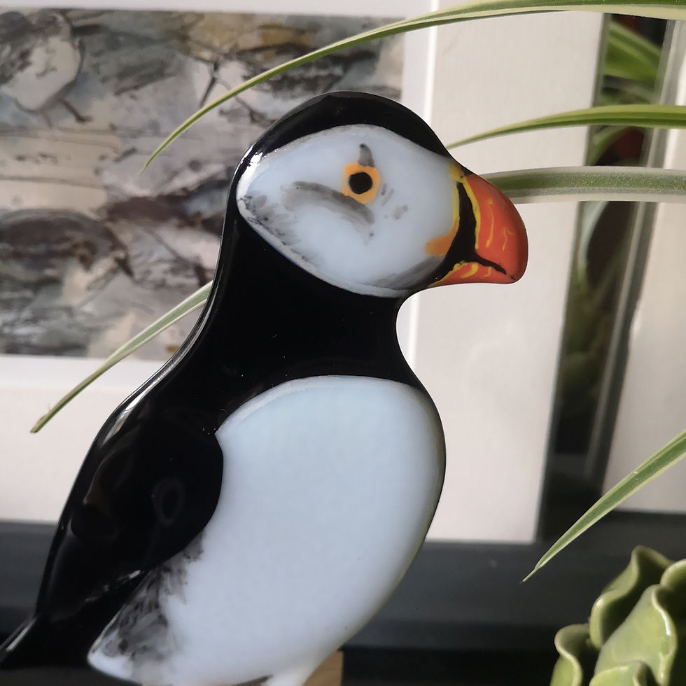 Thumbnail: Puffin 2