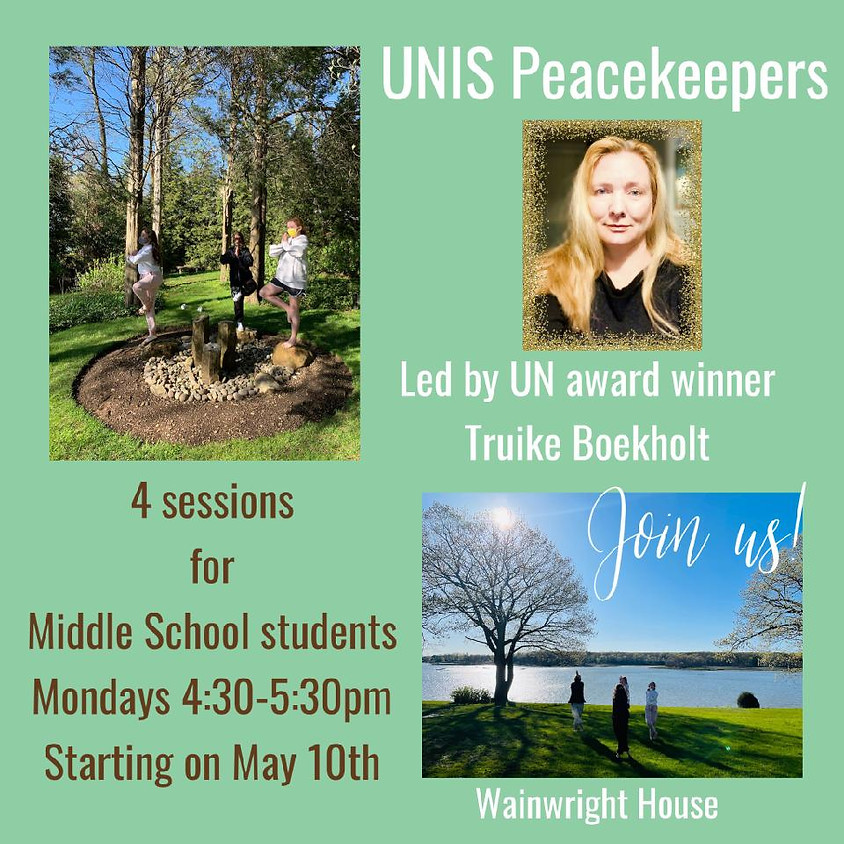 UN Peacekeepers 3 Sessions
