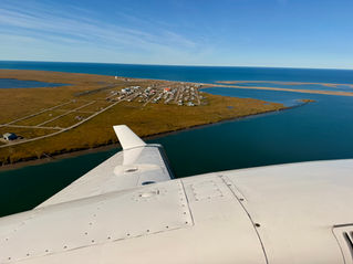 Kaktovik Charter for FAA Team. Polar Bear Viewing