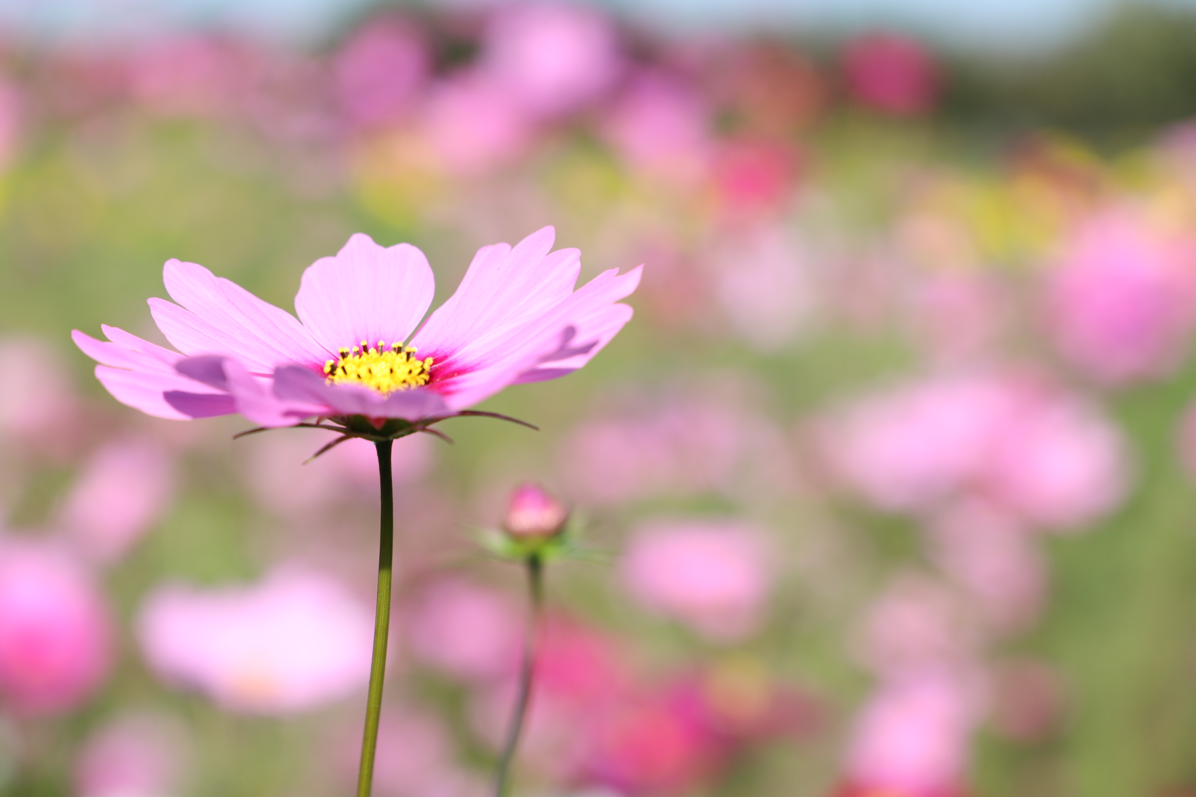 旭志村ふれあいセンター「道の駅」旭志 オフィシャルサイト 施設案内