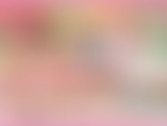 コスモスまつり2026