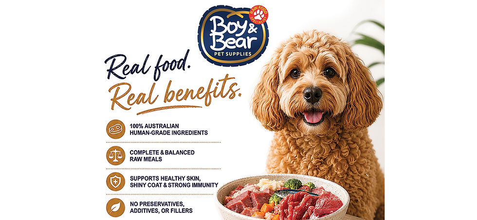 boy and bear pet supplies perth dog food