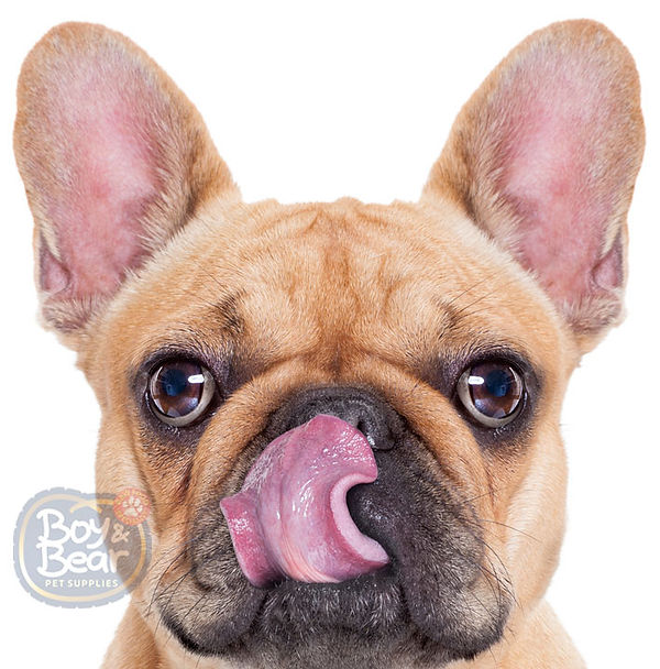 Premium Pet Meat Supplier Perth