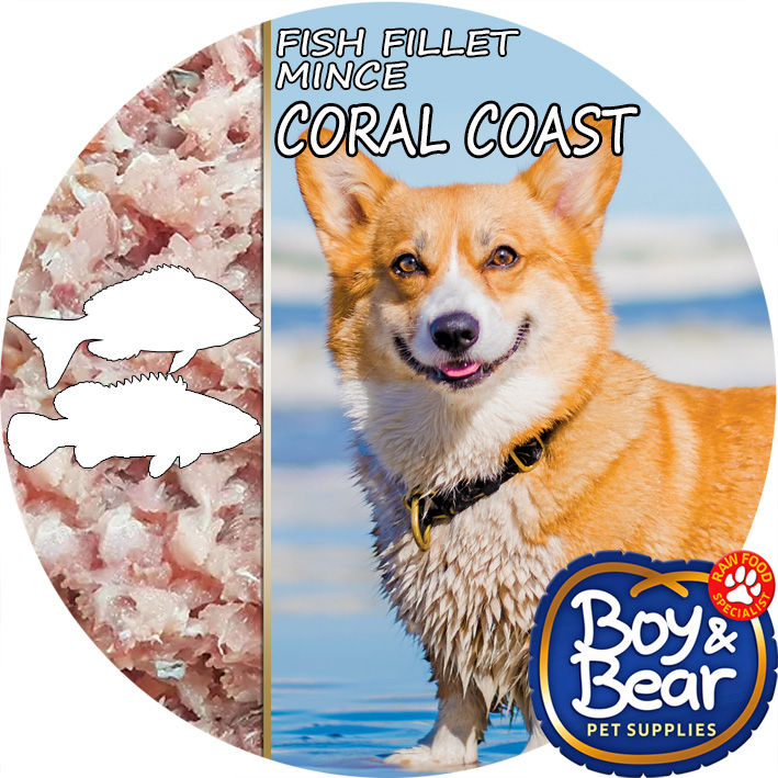 minced fish for dogs perth