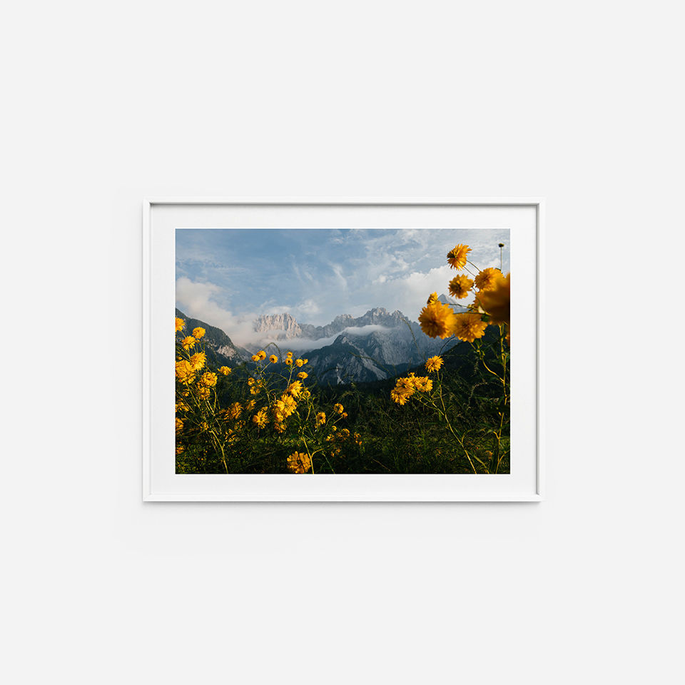 Yellow and Mountains
