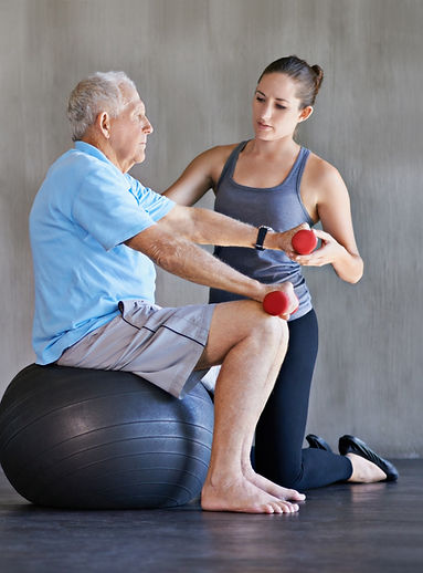 Senior Physiotherapy Synergy Westland Michigan