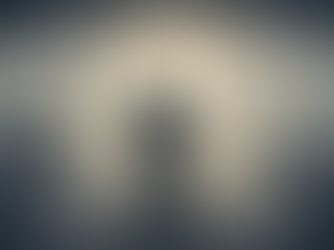 Chapter 23: You, the CEO