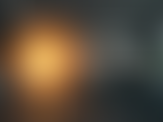 Chapter 10: The Intrapreneurial Framework