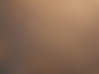 Chapter 7: Your Market Positioning