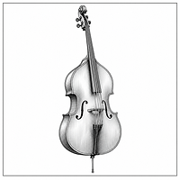 Double Bass