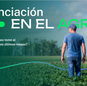 El financiamiento digital creció un 40% en el agro: qué datos claves deja el nuevo Informe Nera de cara a la próxima campaña