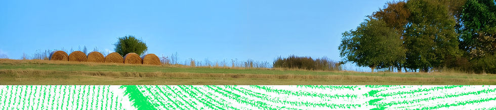 ENV01_NR_AGO_Fotos nuevo KV_Banners_'4_op'2.jpg