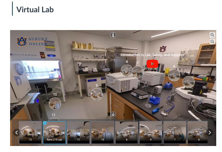 Screenshot 2025-08-08 at 8.19.22 AM
