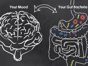 Can Probiotics Help to Lower the Severity and Prevalence of Depression?