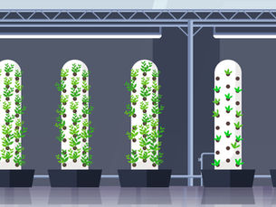Growing Up: The Rise of Vertical Food Production