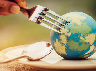 A New Outlook on Protein Quality