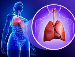 In-Depth: Links Between Microbiota and the Gut-Lung Axis