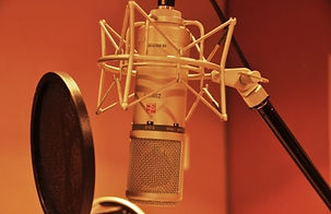 Mic.JPG