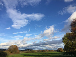 INSPIRED BY NATURE, COLOURS, LIGHT AND SHADOW - IN PAINTING AS WELL AS IN LIFE