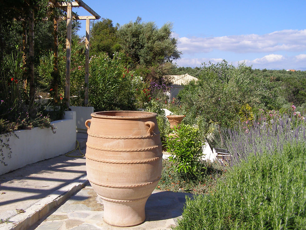 The Garden