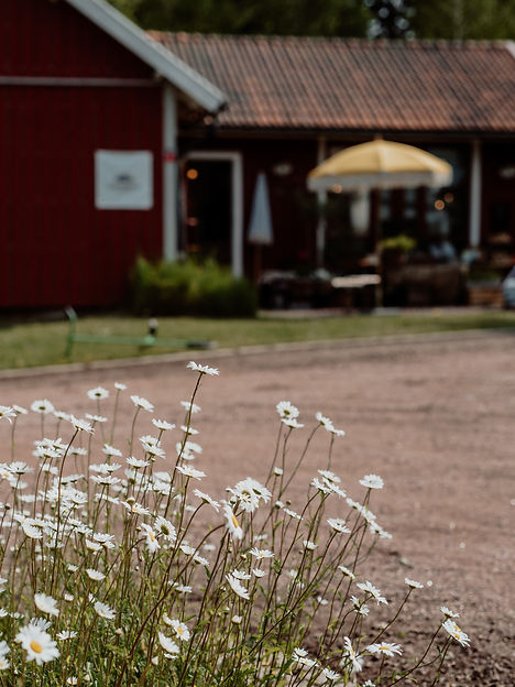 Ransbergsgård-264.jpg