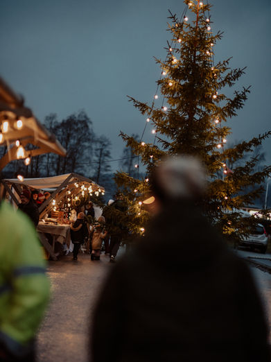 Karlsborg Handel Julskyltning