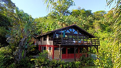 WhatsApp Image 2025-01-04 at 07.29.11_f75fe753edited golden.jpg