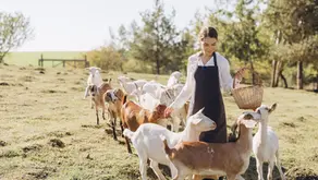 How Goat Milk Shields Your Skin from Sun Damage