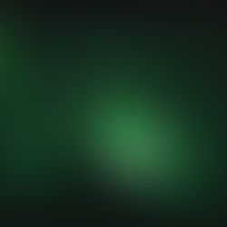 Ransomware BlackCat: The Silent Predator of Cybersecurity.