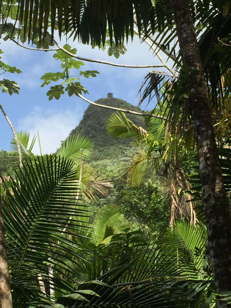 Speak it, live it: Adventure in Puerto Rico