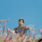 A young man on a hill with purple flowers, under a clear blue sky. He looks pensive, conveying tranquility and focus. Cover of SANTIAGO... (5 Years Later)